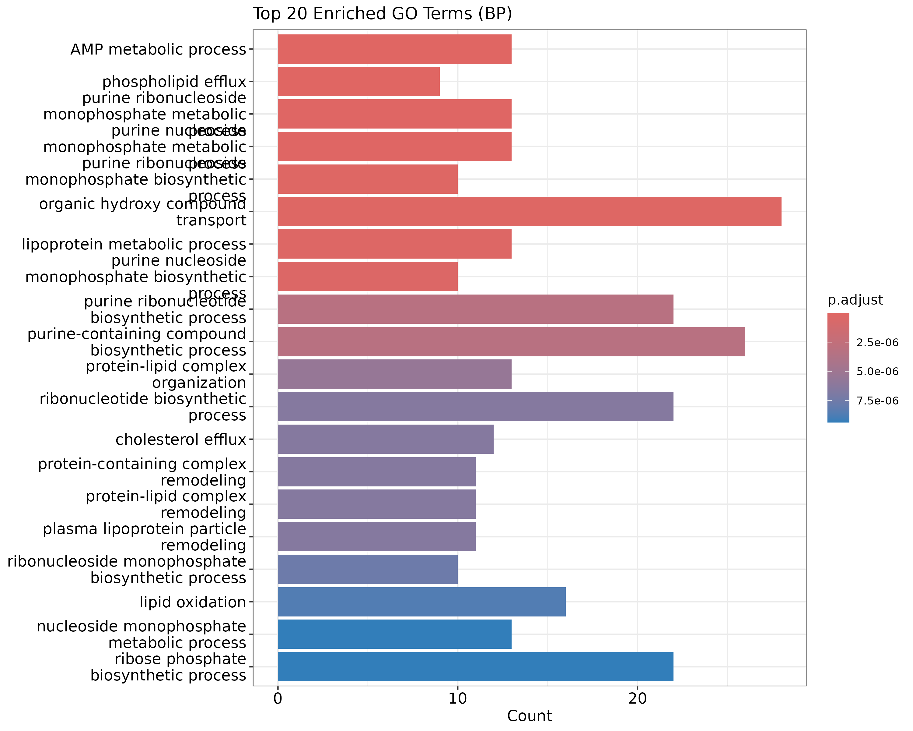 Top 20 enriched GO biological process terms. Bar length represents gene count, color represents adjusted p-value.