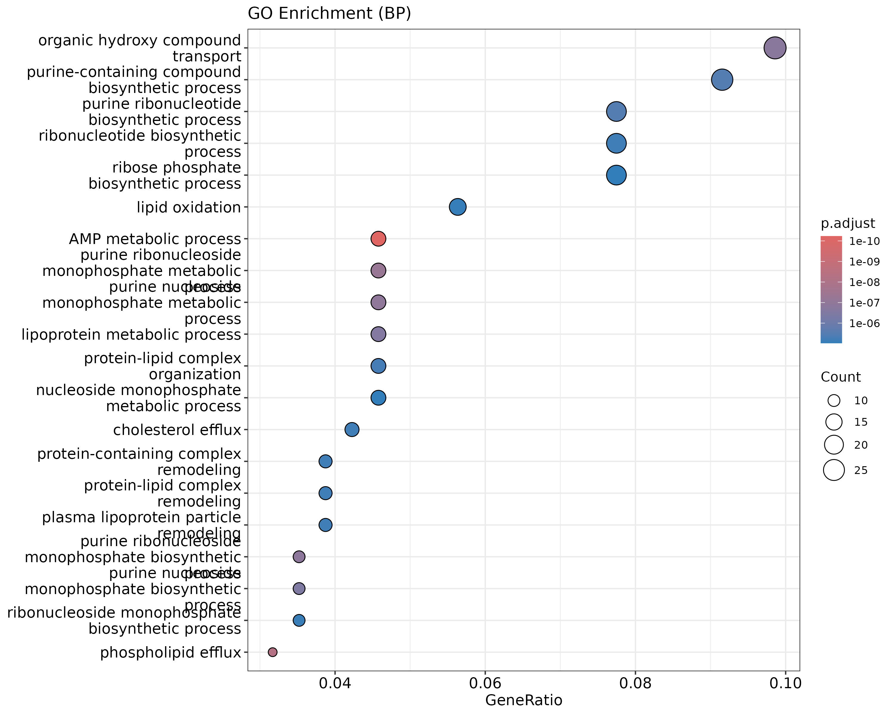 GO enrichment dot plot. Dot size represents gene count, color represents adjusted p-value, x-axis shows the ratio of DE genes in each term.