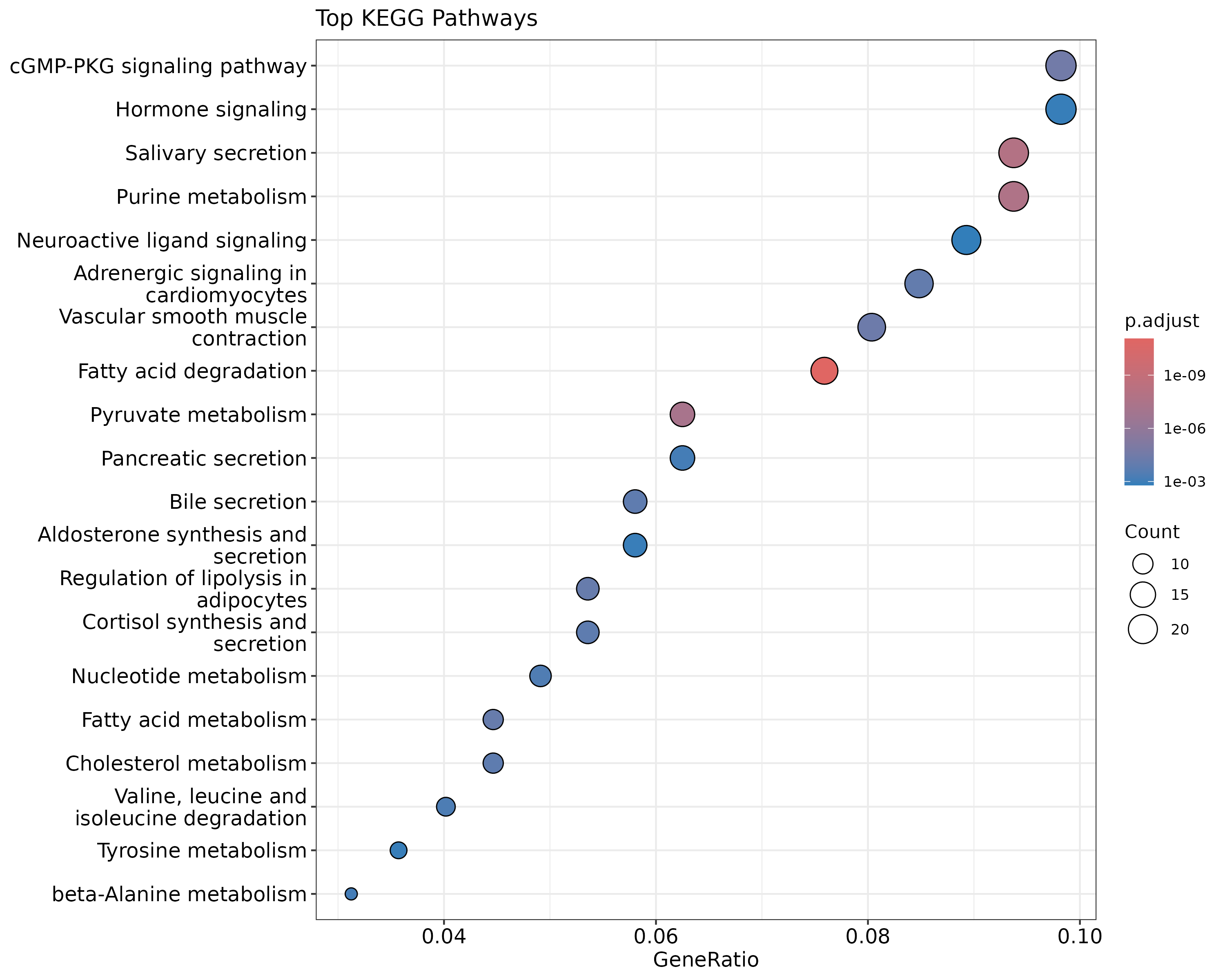 Top enriched KEGG pathways dot plot.