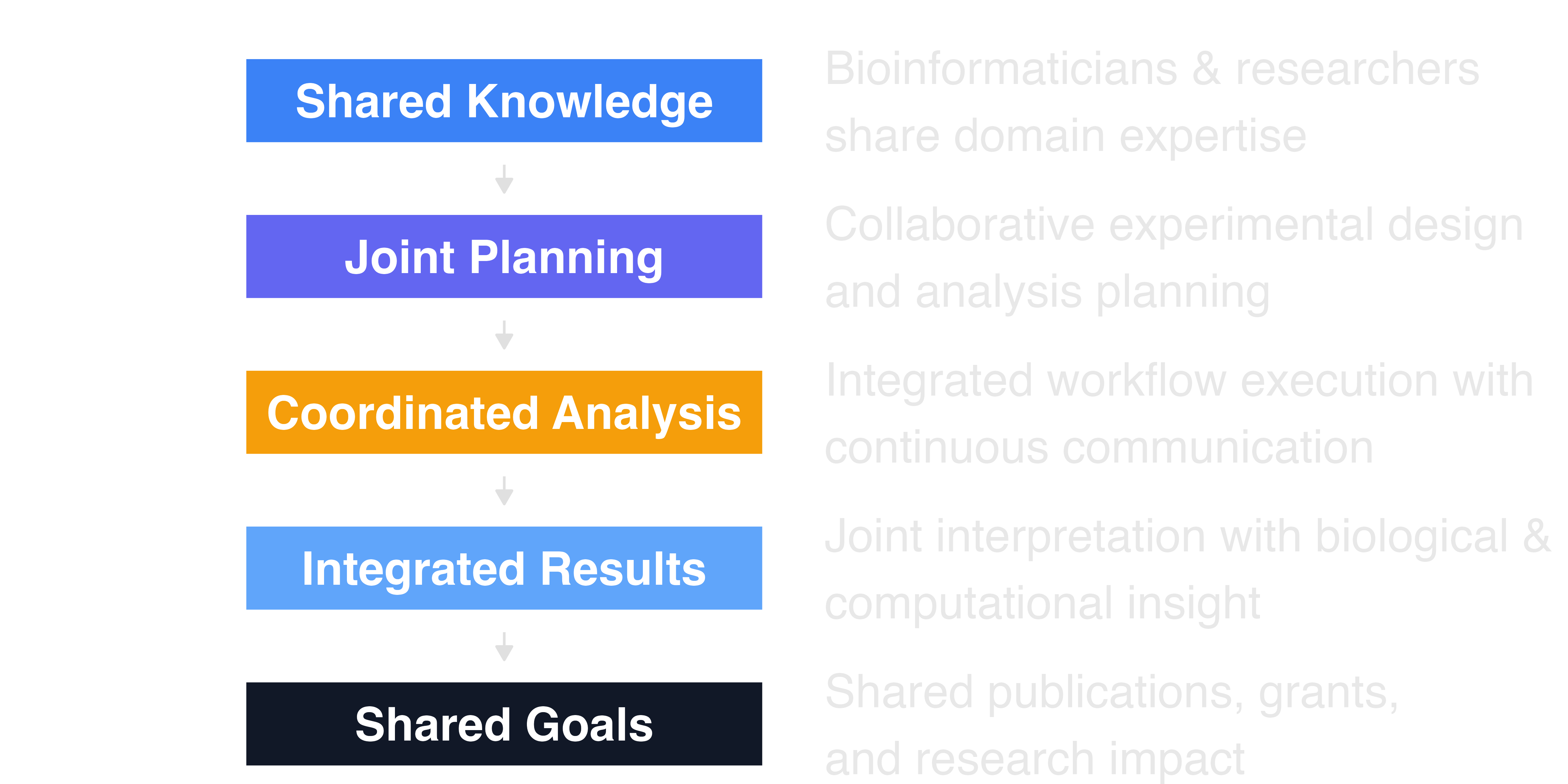 collaboration model